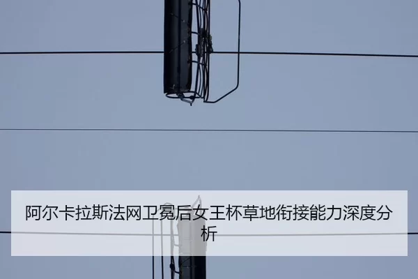 a-er-ka-la-si-fa-wang-wei-mian-hou-nv-wang-bei-cao-di-xian-jie-neng-li-shen-du-fen-xi-2-988.jpg